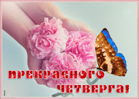 Открытка открытка прекрасного четверга