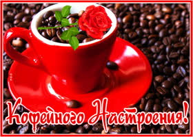 Картинка открытка прекрасного настроения