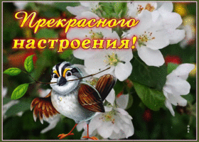 Postcard открытка прекрасного настроения с цветущим деревом