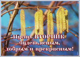 Картинка открытка прекрасного вторника