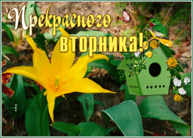 Postcard открытка прекрасного вторника с необычным цветком