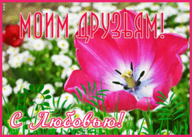 Открытка открытка прекрасному человеку