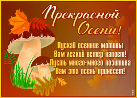 Открытка открытка прекрасной осени
