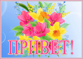 Картинка открытка привет с букетом