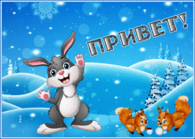 Postcard открытка привет с очаровательными животными