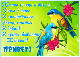 Открытка открытка привет с пожеланием