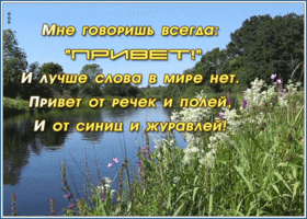 Открытка открытка привет с природой