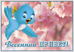 Картинка открытка привет, весна