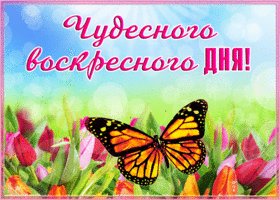 Открытка открытка приятного воскресного дня