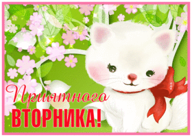 Postcard открытка приятного вторника с белым котенком