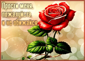 Postcard открытка прости меня, пожалуйста, и не обижайся