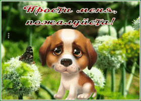 Picture открытка прости меня, пожалуйста, с необычными цветами