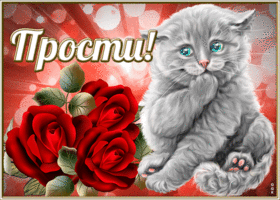 Открытка открытка прости с котиком