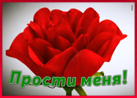 Картинка открытка прости с цветами
