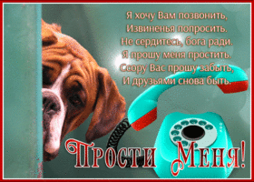 Picture открытка прости, я хочу вам позвонить