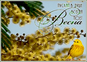 Открытка открытка пускай в душе поет весна
