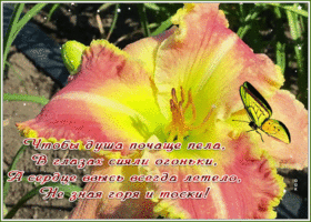 Открытка открытка пусть каждый день счастливым будет