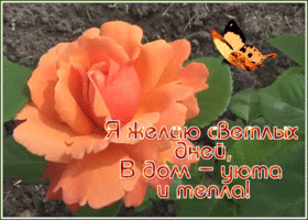 Картинка открытка пусть мечты сбываются