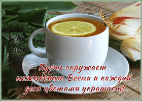 Picture открытка пусть окружает нежностью весна и каждый день цветами украшает