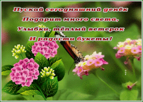 Postcard открытка пусть сегодняшний денек подарит много света