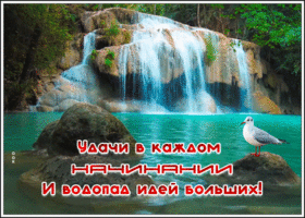 Картинка открытка пусть удача полюбит тебя