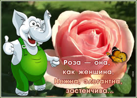 Открытка открытка роза самой милой