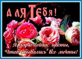 Picture открытка с цветами, чтоб сбывались все мечты