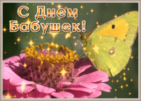 Открытка открытка с днем бабушек с бабочкой