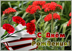 Postcard открытка с днем рождения мужчине с гвоздиками