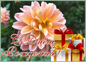 Postcard открытка с днем рождения женщине с горой подарков