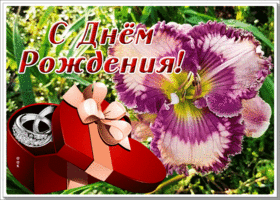 Picture открытка с днем рождения женщине с кольцом в подарок