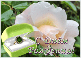 Postcard открытка с днем рождения женщине с нежнейшей розочкой