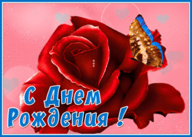 Postcard открытка с днем рождения женщине с розой и бабочкой