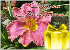 Picture открытка с днем рождения женщине с удивительным цветком