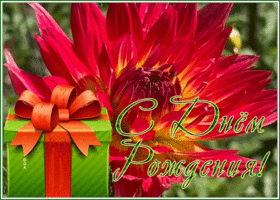 Picture открытка с днем рождения женщине с удивительным красным цветком