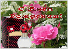 Postcard открытка с днем рождения женщине с замечательным цветком