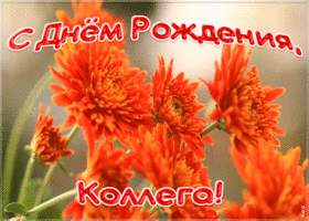 Картинка открытка с днем рождения коллеге женщине с цветами