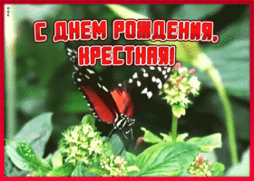 Открытка открытка с днём рождения крестной от крестника