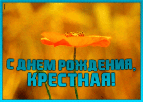 Картинка открытка с днем рождения любимой крестной