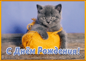 Открытка открытка с днем рождения подруге с котиком