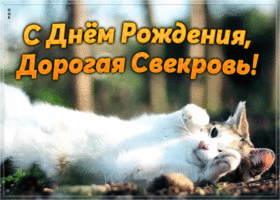 Открытка открытка с днем рождения свекрови с котиком