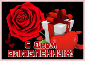 Открытка открытка с днем святого валентина с розой