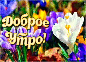 Картинка открытка с добрым утром и хорошим настроением