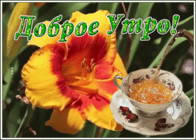 Открытка открытка с добрым утром и улыбок