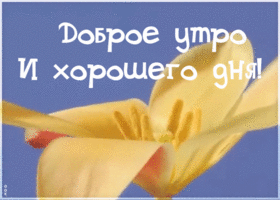 Открытка открытка с добрым утром удачного дня