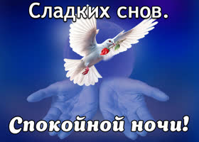 Postcard открытка с голубем, сладких снов
