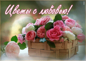 Картинка открытка с корзиной цветов