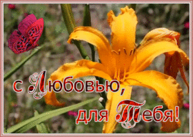 Открытка открытка с лилией с любовью