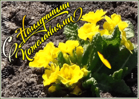 Картинка открытка с наилучшими пожеланиями