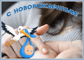 Картинка открытка с новорожденным сыном
